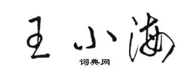 駱恆光王小海草書個性簽名怎么寫