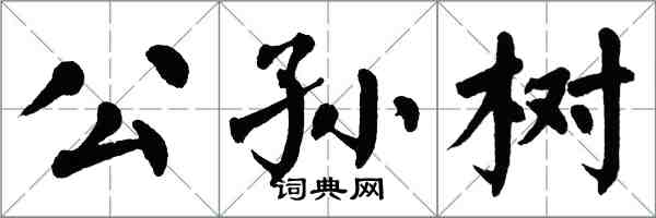 翁闓運公孫樹楷書怎么寫