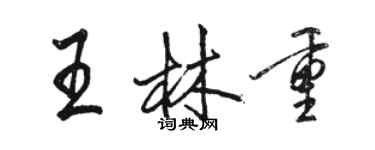 駱恆光王林重行書個性簽名怎么寫