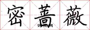 荊霄鵬密薔薇楷書怎么寫