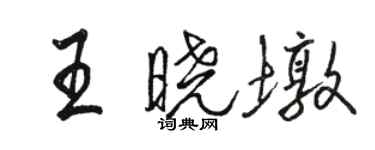 駱恆光王曉墩行書個性簽名怎么寫