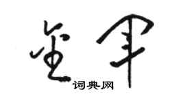 駱恆光金軍草書個性簽名怎么寫