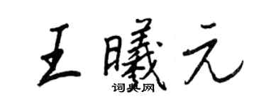 王正良王曦元行書個性簽名怎么寫