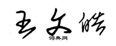 朱錫榮王文皓草書個性簽名怎么寫