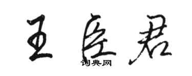 駱恆光王臣君行書個性簽名怎么寫