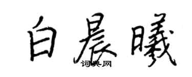 王正良白晨曦行書個性簽名怎么寫