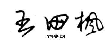 朱錫榮王田楓草書個性簽名怎么寫