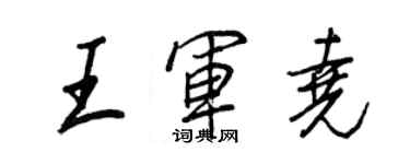 王正良王軍堯行書個性簽名怎么寫