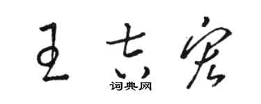 駱恆光王吉宏草書個性簽名怎么寫