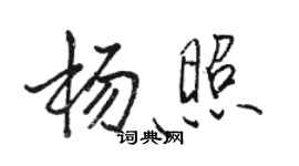 駱恆光楊照行書個性簽名怎么寫