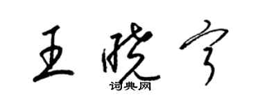 梁錦英王曉寧草書個性簽名怎么寫