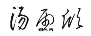 駱恆光湯雨欣草書個性簽名怎么寫