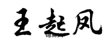 胡問遂王起鳳行書個性簽名怎么寫