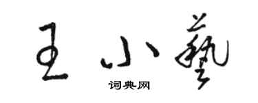 駱恆光王小藝草書個性簽名怎么寫