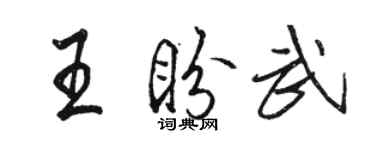 駱恆光王盼武行書個性簽名怎么寫