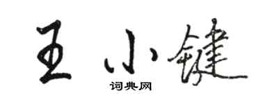 駱恆光王小鍵行書個性簽名怎么寫