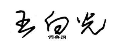 朱錫榮王向光草書個性簽名怎么寫