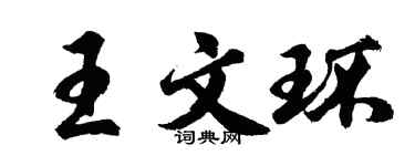 胡問遂王文環行書個性簽名怎么寫