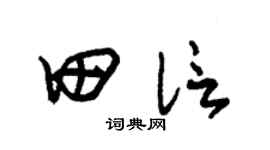 朱錫榮田信草書個性簽名怎么寫