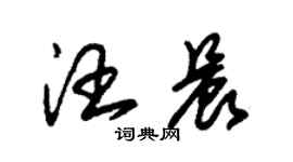 朱錫榮汪晨草書個性簽名怎么寫