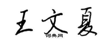 王正良王文夏行書個性簽名怎么寫