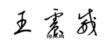 梁錦英王震威草書個性簽名怎么寫