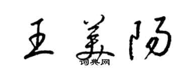 梁錦英王美陽草書個性簽名怎么寫