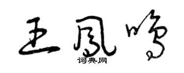 曾慶福王鳳鳴草書個性簽名怎么寫