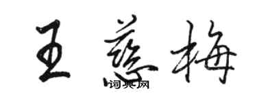 駱恆光王慈梅行書個性簽名怎么寫