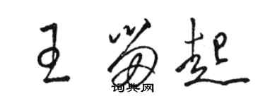 駱恆光王留起草書個性簽名怎么寫