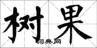 翁闓運樹果楷書怎么寫