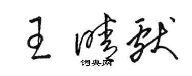 駱恆光王晴獻草書個性簽名怎么寫