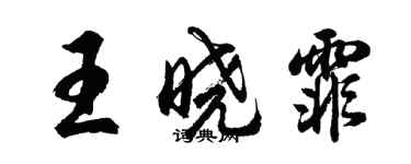 胡問遂王曉霏行書個性簽名怎么寫