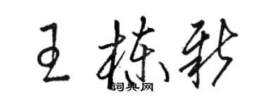 駱恆光王棟新草書個性簽名怎么寫