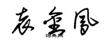 朱錫榮袁金鳳草書個性簽名怎么寫