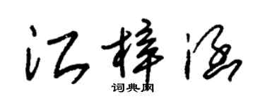 朱錫榮江梓涵草書個性簽名怎么寫