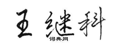 駱恆光王繼科行書個性簽名怎么寫