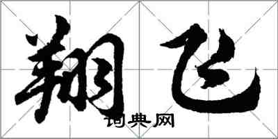 胡問遂翔飛行書怎么寫