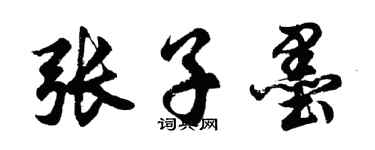 胡問遂張子墨行書個性簽名怎么寫