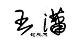 朱錫榮王瀟草書個性簽名怎么寫