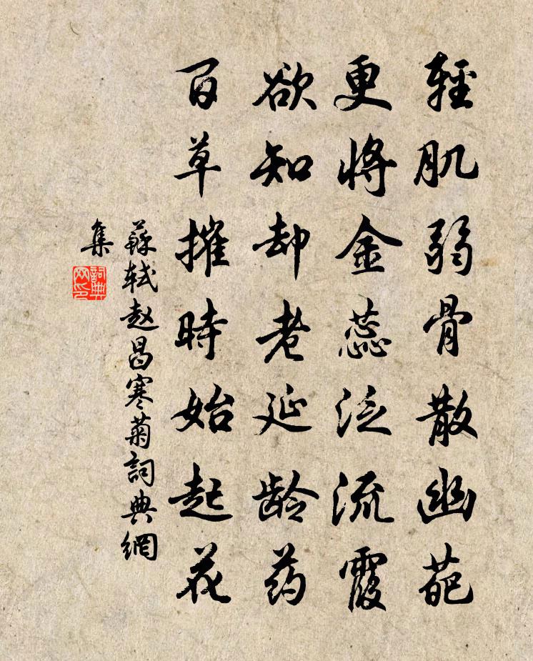 蘇軾趙昌寒菊書法作品欣賞