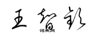 梁錦英王智欽草書個性簽名怎么寫