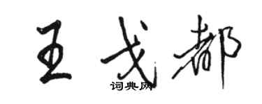 駱恆光王戈都行書個性簽名怎么寫