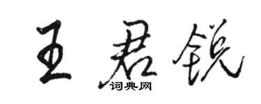 駱恆光王君銳行書個性簽名怎么寫