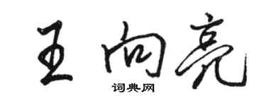 駱恆光王向亮行書個性簽名怎么寫