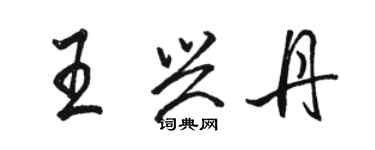 駱恆光王興丹行書個性簽名怎么寫