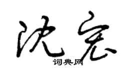 曾慶福沈宏草書個性簽名怎么寫