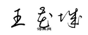 梁錦英王花城草書個性簽名怎么寫