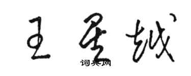 駱恆光王星越草書個性簽名怎么寫