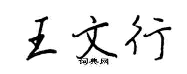 王正良王文行行書個性簽名怎么寫